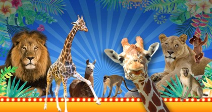 С 30 июля 2022 года Волгоградский цирк приглашает зрителей на единственное в России «Жираф-шоу»