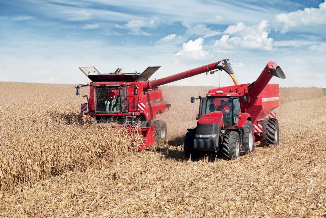 Волгоградские аграрии приступили к сбору четвертого миллиона тонн зерна