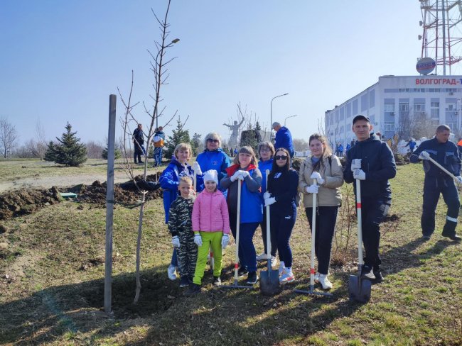 Вклад в общее дело