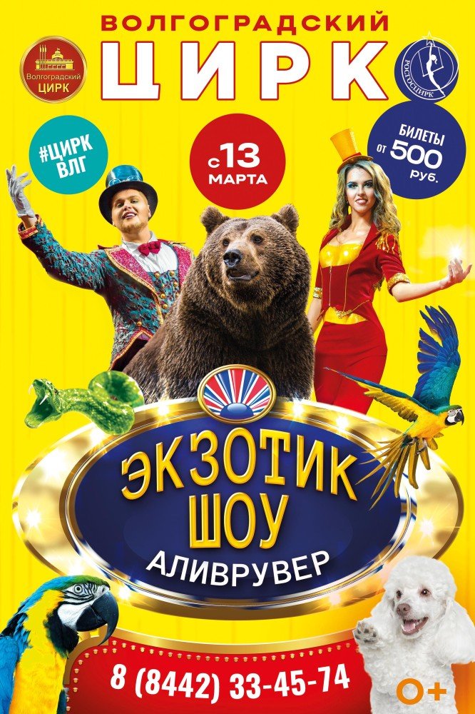 Купить Билеты В Цирк Иваново