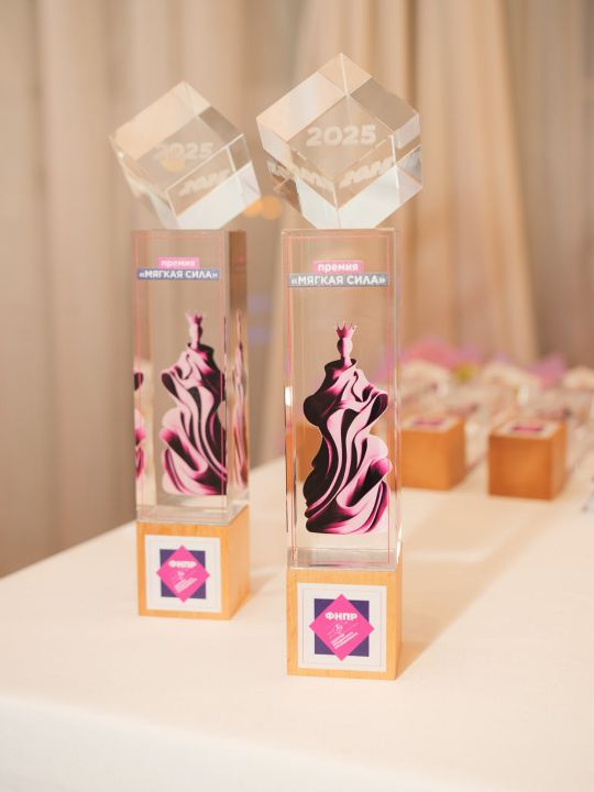 Постоянная комиссия Генсовета ФНПР по защите социально-экономических прав женщин утвердила список номинантов на Премию «Мягкая сила»